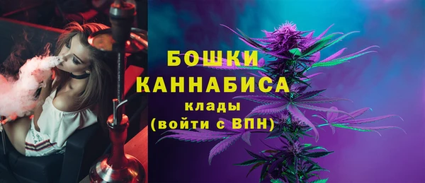 стафф Богданович