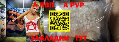 бошки Кингисепп