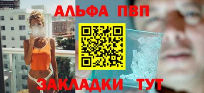 бошки Кингисепп