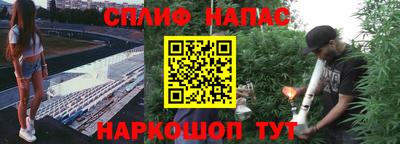ГАЛЛЮЦИНОГЕННЫЕ ГРИБЫ Кинель