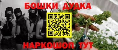 бошки Кингисепп