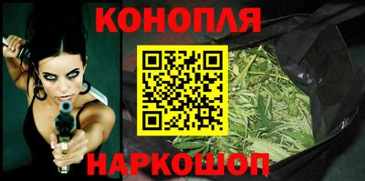 бошки Кингисепп