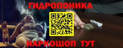 шишки Кимры