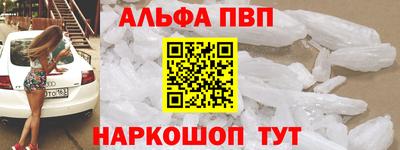бошки Кингисепп