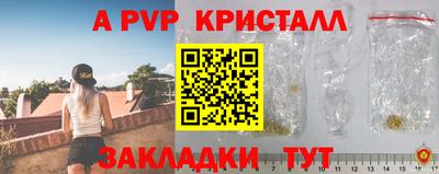 шишки Кимры
