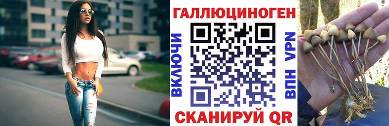 Псилоцибиновые грибы мухоморы Новосибирск