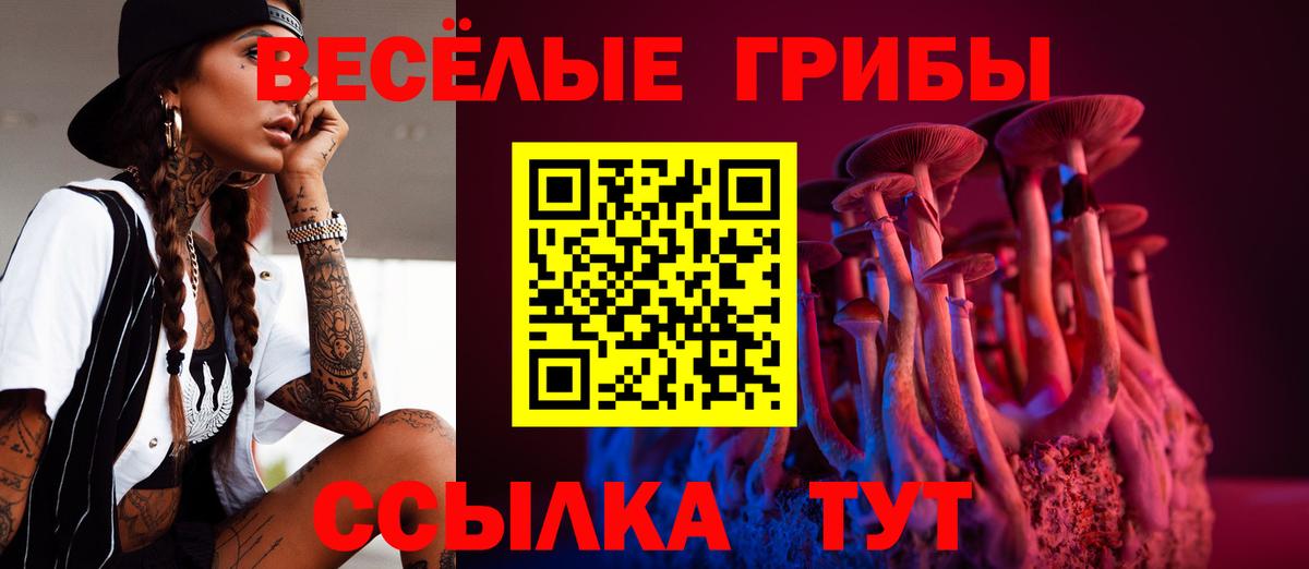 Галлюциногенные грибы Psilocybe  Новосибирск  дарнет шоп  Псилоцибиновые грибы MAGIC MUSHROOMS 